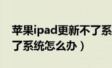 苹果ipad更新不了系统怎么办（ipad更新不了系统怎么办）