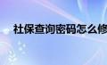 社保查询密码怎么修改（社保查询密码）