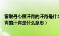 留取丹心照汗青的汗青是什么意思的短视频（留取丹心照汗青的汗青是什么意思）