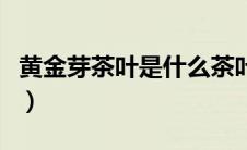 黄金芽茶叶是什么茶叶（黄金芽茶叶是什么茶）