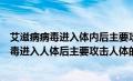 艾滋病病毒进入体内后主要攻击人体的什么细胞（艾滋病病毒进入人体后主要攻击人体的什么细胞）