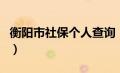 衡阳市社保个人查询（衡阳社保查询个人账户）