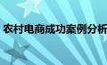 农村电商成功案例分析（农村电商成功案例）