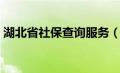 湖北省社保查询服务（湖北省社保查询系统）