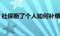 社保断了个人如何补缴（社保断交怎么补交）