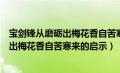 宝剑锋从磨砺出梅花香自苦寒来的启示作文（宝剑锋从磨砺出梅花香自苦寒来的启示）