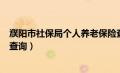 濮阳市社保局个人养老保险查询（濮阳市养老保险个人账户查询）