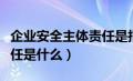 企业安全主体责任是指什么（安全生产主体责任是什么）