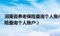 河南省养老保险查询个人账户缴费明细查询（河南省养老保险查询个人账户）