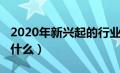 2020年新兴起的行业（2020年新兴的行业是什么）