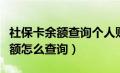 社保卡余额查询个人账户余额查询（社保卡余额怎么查询）