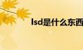 lsd是什么东西（lsd是什么）