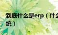 到底什么是erp（什么是ERP和什么是ERP系统）