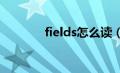 fields怎么读（field怎么读）