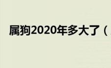 属狗2020年多大了（属狗的2020年多大）