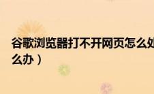 谷歌浏览器打不开网页怎么处理（谷歌浏览器打不开网页怎么办）