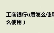 工商银行u盾怎么使用教程（工商银行u盾怎么使用）