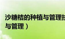 沙糖桔的种植与管理技术视频（沙糖桔的种植与管理）