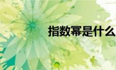 指数幂是什么（幂是什么）