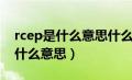 rcep是什么意思什么时候开始启动（rcep是什么意思）