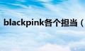 blackpink各个担当（blackpink成员担当）