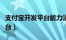 支付宝开发平台能力添加不了（支付宝开发平台）