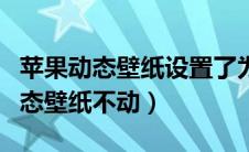 苹果动态壁纸设置了为什么不动（苹果手机动态壁纸不动）