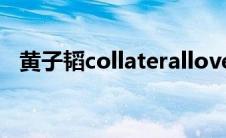 黄子韬collaterallove（黄子韬戳爷互动）