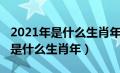 2021年是什么生肖年什么命几月好（2021年是什么生肖年）