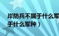 岸防兵不属于什么军种?a陆军（岸防兵不属于什么军种）