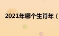 2021年哪个生肖年（2021年什么年生肖）