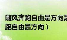 随风奔跑自由是方向是什么歌的歌词（随风奔跑自由是方向）