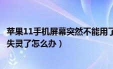 苹果11手机屏幕突然不能用了怎么办（11苹果手机屏幕突然失灵了怎么办）