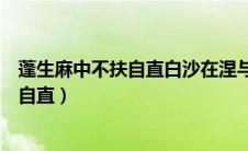 蓬生麻中不扶自直白沙在涅与之俱黑的意思（蓬生麻中不扶自直）