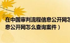 在中国审判流程信息公开网怎么查询案件（中国审判流程信息公开网怎么查询案件）