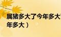 属猪多大了今年多大了2021（属猪的几岁今年多大）