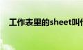 工作表里的sheet叫什么（sheet怎么读）