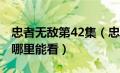 忠者无敌第42集（忠者无敌电视37一42集在哪里能看）