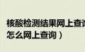 核酸检测结果网上查询二维码（核酸检测结果怎么网上查询）