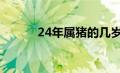 24年属猪的几岁（属猪的几岁）