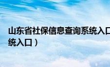 山东省社保信息查询系统入口在哪（山东省社保信息查询系统入口）