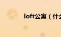 loft公寓（什么叫loft公寓）