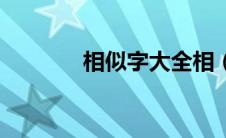 相似字大全相（相似字大全）