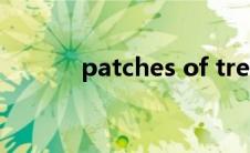 patches of trees（patches）