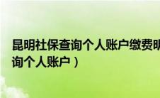 昆明社保查询个人账户缴费明细查询系统（昆明社保如何查询个人账户）