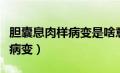 胆囊息肉样病变是啥意思严重吗（胆囊息肉样病变）