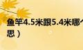 鱼竿4.5米跟5.4米哪个更实用（黑坑是什么意思）