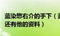 蓝染惣右介的手下（蓝染惣右介的卍解是什么还有他的资料）