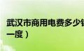 武汉市商用电费多少钱一度（商用电费多少钱一度）