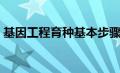 基因工程育种基本步骤（基因工程育种步骤）